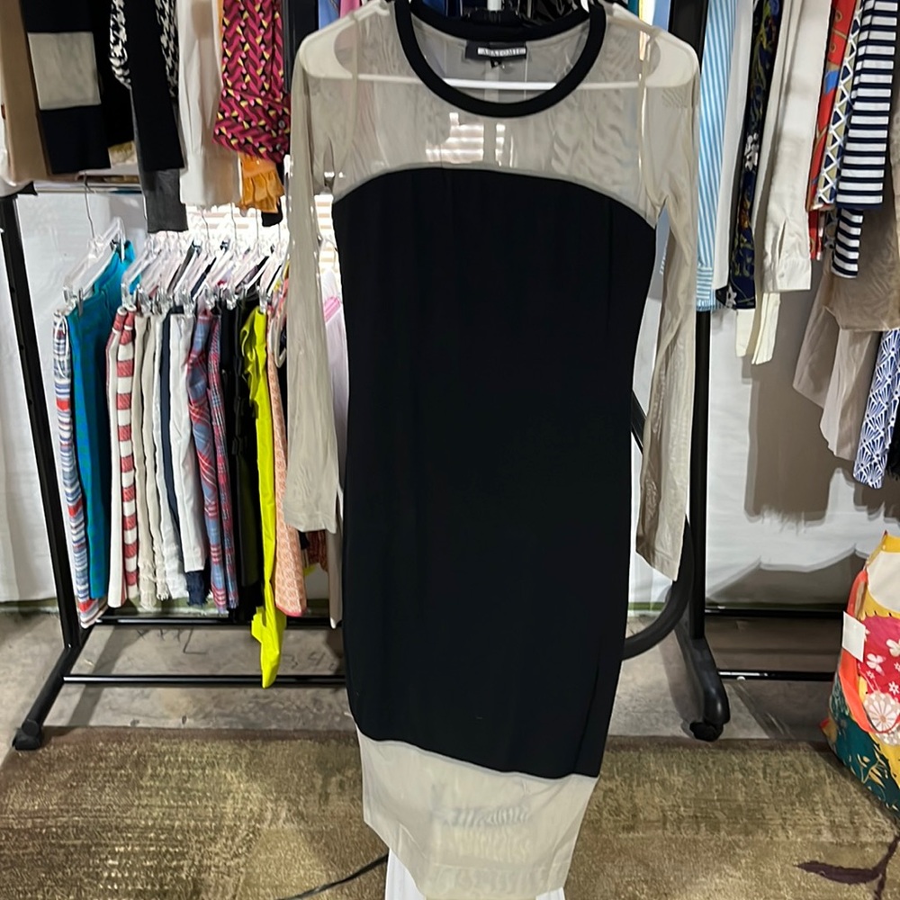Anatomie Black and Tan mesh dress